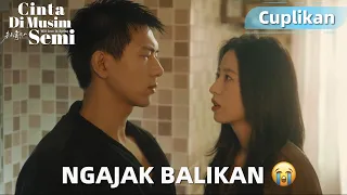 Will Love in Spring | Cuplikan EP21 Kira-kira Mereka Bakal Balikan Gak Ya? | WeTV【INDO SUB】