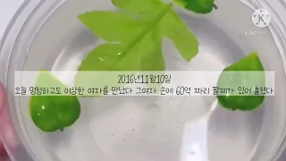 인어를 사랑한 남자의 일기/첫영상/설참