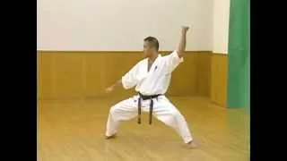 Каратэ Киокушинкай: Ката -  Пинан Соно Го | Kyokushin Karate: Kata - Pinan Sono Go