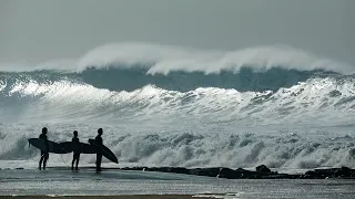 El Porto XL Winter Swells