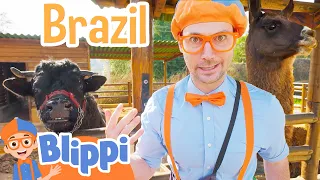 Blippi Visits a Petting Zoo in Brazil! Educational Animal Videos for Kids