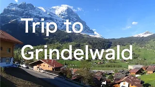 Trip to Grindelwald, Swiss
