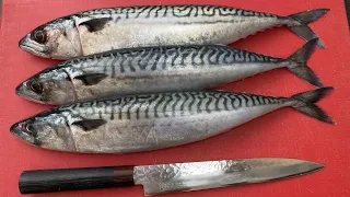 How to Fillet the Mackerel | London Chef Gastronomy