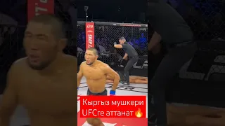 Оролбай Мыктыбек уулу Америка мушкерин нокаут кылды Эми алдыда UFC колдойлу👍✊🔥