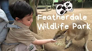 Featherdale Wildlife Park with Mini Zookeper