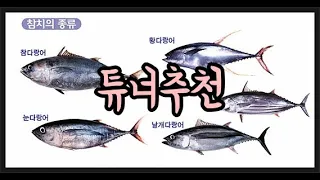 튜너 추천해주세요! (@구름다리 님)