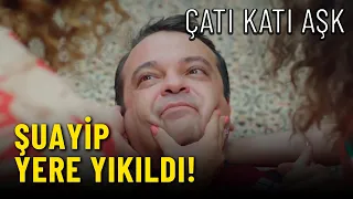 Şuayip Kafayı Yedi! -  Çatı Katı Aşk  13.Bölüm