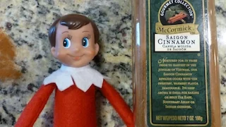 Elf How to Get your elf back there powers with Cinnamon