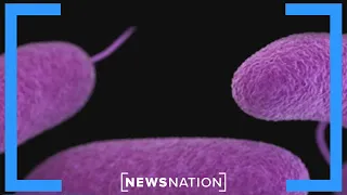 Health officials warn Americans of deadly flesh-eating bacteria | Morning in America