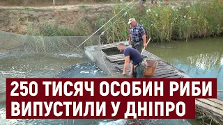 У водойми Херсонщини випустили 250 тисяч екземлярів риби