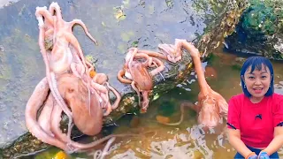 [Xiao Zhang finds octopus nest & Pippi shrimp; catches lobsters!]