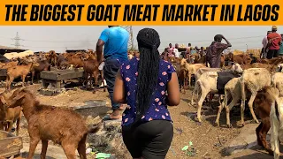 MARKET VLOG | BIGGEST GOAT MEAT MARKET IN LAGOS NIGERIA