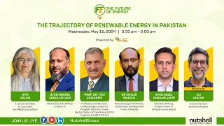 The Trajectory of Renewable Energy in Pakistan