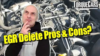 Delete EGR Valve? Pros & Cons, EGR Off or On? Benefits and Drawbacks With and Without EGR