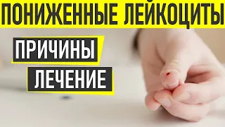 ЛЕЙКОЦИТЫ КРОВИ | Почему уровень лейкоцитов в крови понижен и что с этим делать