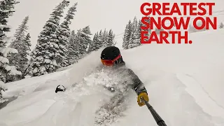 GREATEST SNOW ON EARTH is NOT in UTAH! Skiing the ALL New Grand Targhee Colter Lift!