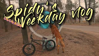 Weekday bmx vlog whis Belgian malinois