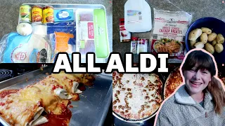 3 BUDGET FRIENDLY FAMILY ALDI MEAL IDEAS | ALL ALDI | CASSANDRA SMET (FALL 2021)