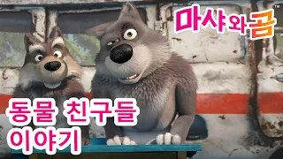 마샤와 곰 👱‍♀️🐻 🐾 동물 친구들이야기 📚 Masha and the Bear