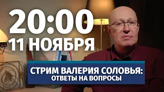 Стрим Валерия Соловья. Ответы на вопросы. 11 ноября, 20:00 (по МСК)