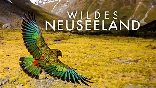 Wildes Neuseeland - Inseln am Ende der Welt - Trailer [HD] Deutsch / German (FSK: Info-Programm)