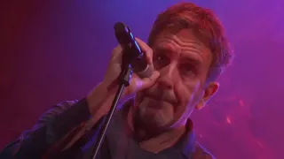 THE SPECIALS live @ Main Stage 2017