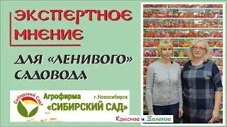 Сибирский Сад. Сорта томатов, перца и баклажанов самые простые в выращивании