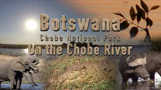 ON THE CHOBE RIVER - CHOBE NATIONAL PARK - Botswana