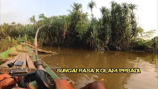 dahsyat nya umpan dari negeri Upin Ipin pemancing sampai kewalahan