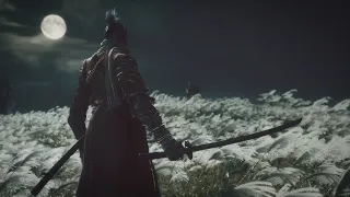 Анализ Sekiro: Shadows Die Twice. Часть 1: Шосин