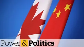 Canada takes canola fight with China to WTO | Power & Politics