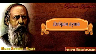 Добрая душа —Михаил Салтыков Щедрин —читает Павел Беседин