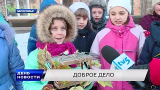 День. Новости TV5. Выпуск 15-00 за  01.02.2017