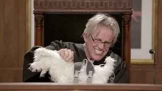 Gary Busey: Pet Judge - Dog Song