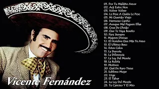 VICENTE FERNANDEZ EXITOS- LAS MEJORES CANCIONES- 30 GRANDES EXITOS ENGANCHADOS DE VICENTE FERNANDEZ