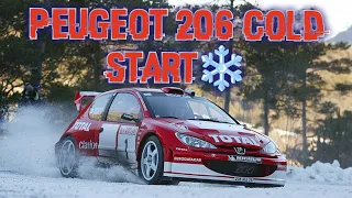 Peugeot 206  2.0hdi cold start