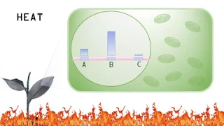 Bioinformatics Lab: An Introduction to the Read Mapping and Transcript Assembly