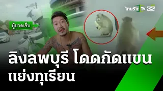 เหิมไม่แผ่ว ลิงลพบุรีโดดกัดแขนแย่งทุเรียน | 3 มิ.ย. 67 | ห้องข่าวหัวเขียว