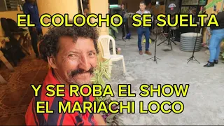EL COLOCHO SE SUELTA Y SE ROBA EL SHOW EL MARIACHI LOCO