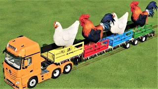 TRANSPORT OF COLORS ! GIANT CHICKENS TRANSPORTING to SELLING w/ MINI LOADERS ! Farming Simulator 22