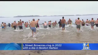 Swimmers Shake Off Cold For L Street Brownies Polar Plunge In South Boston