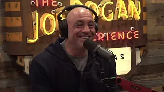 Joe Rogan CAN'T Understand WHY Anthony Kiedis Love Alligators