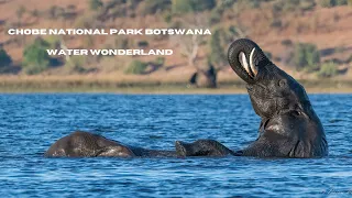 Chobe National Park Botswana Water Wonderland. With Relaxation Music.