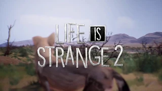 Life is Strange 2 Soundtrack - Long Road Ahead (Faith Variant)