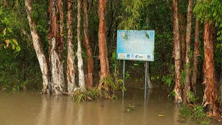 Far North Queensland sees worst flooding in decades