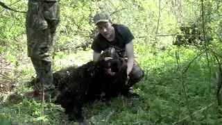 Record book black bear- spring 2012