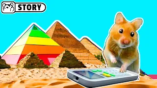 Hamster Alien in the Rainbow Pyramid Maze 👽 Homura Ham
