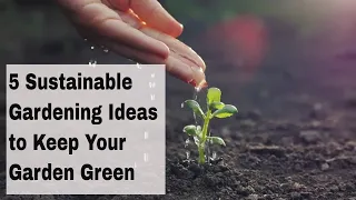 5 Sustainable Gardening Ideas to Keep Your Garden Green