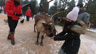 Leavenworth Reindeer Farm Christmas