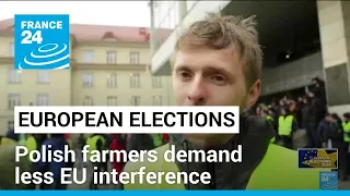 European elections: Polish farmers demand less EU interference ahead of vote • FRANCE 24 English